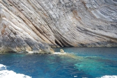 VIS (24)