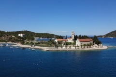 VIS (42)